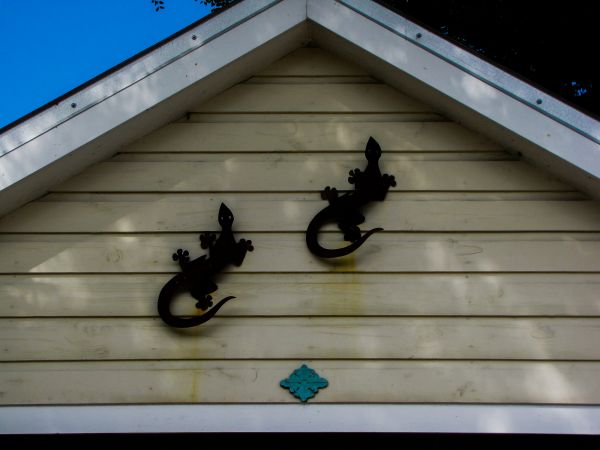 Cost of Shiplap Siding Installation in Matthews