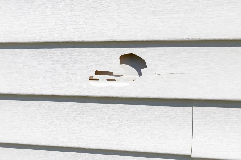 Patch and Fix Vinyl Siding